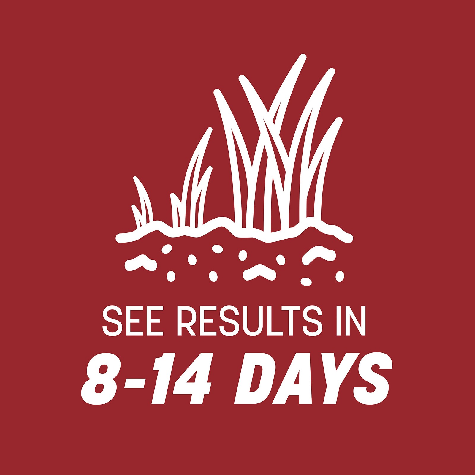 Smart Seed Perennial Ryegrass 3 lb