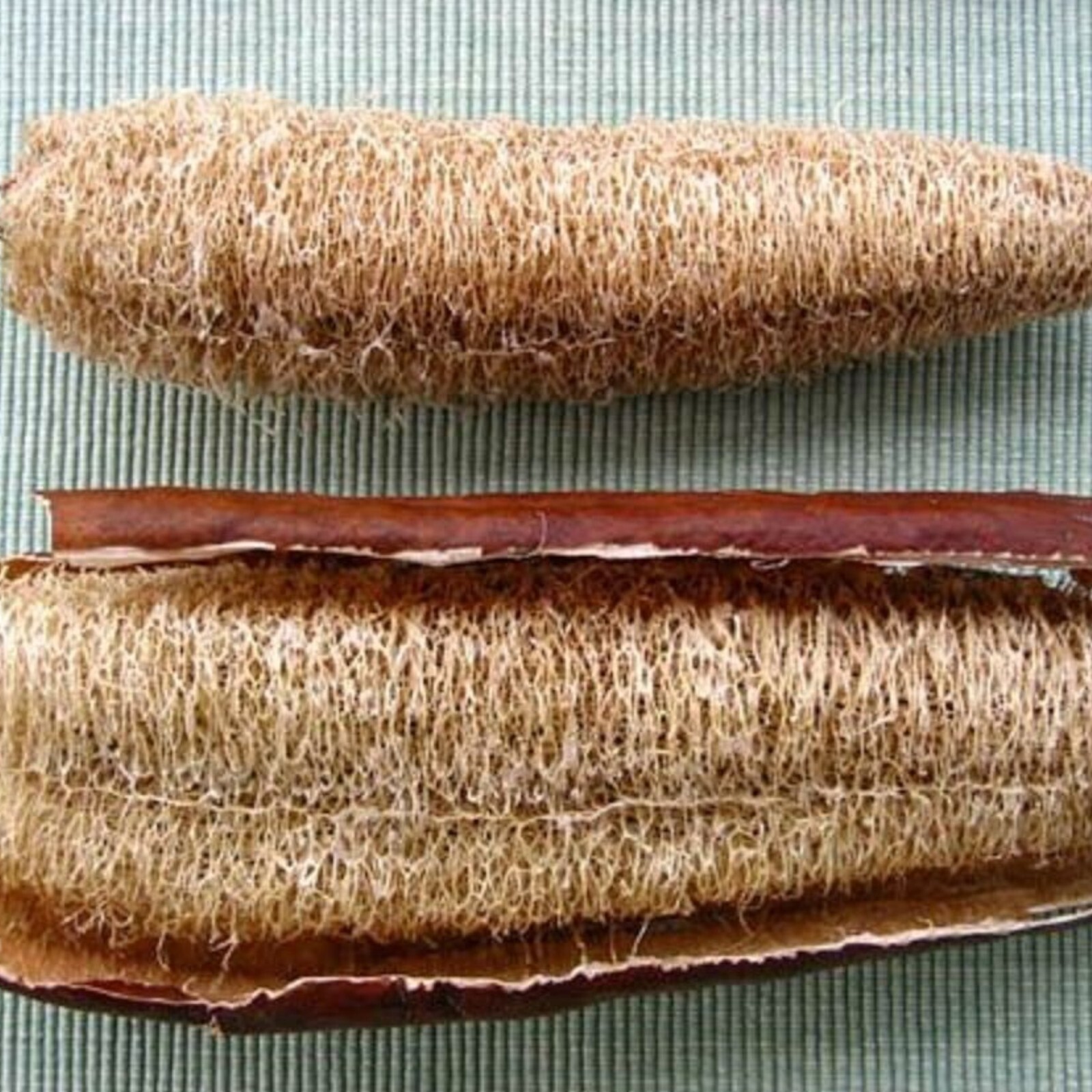 30pcs Super Long Luffa Gourd Seeds – Non-GMO, Loofah Sponge Gourd Seeds