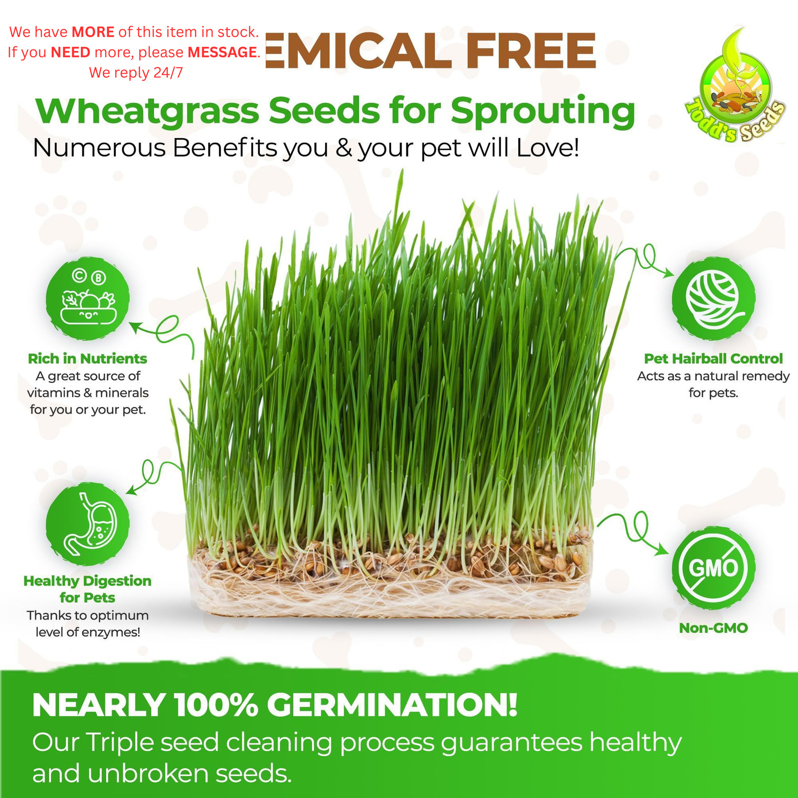 Todd’s Seeds Wheatgrass Seeds; Hard Red Winter Wheat, Non-GMO, 1/4 Pound,