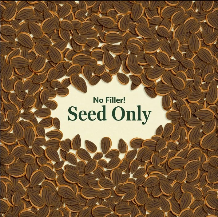 1 LB Cut Flower Mix Bulk Wildflower Seeds Garden Planting Floral Outdoors
