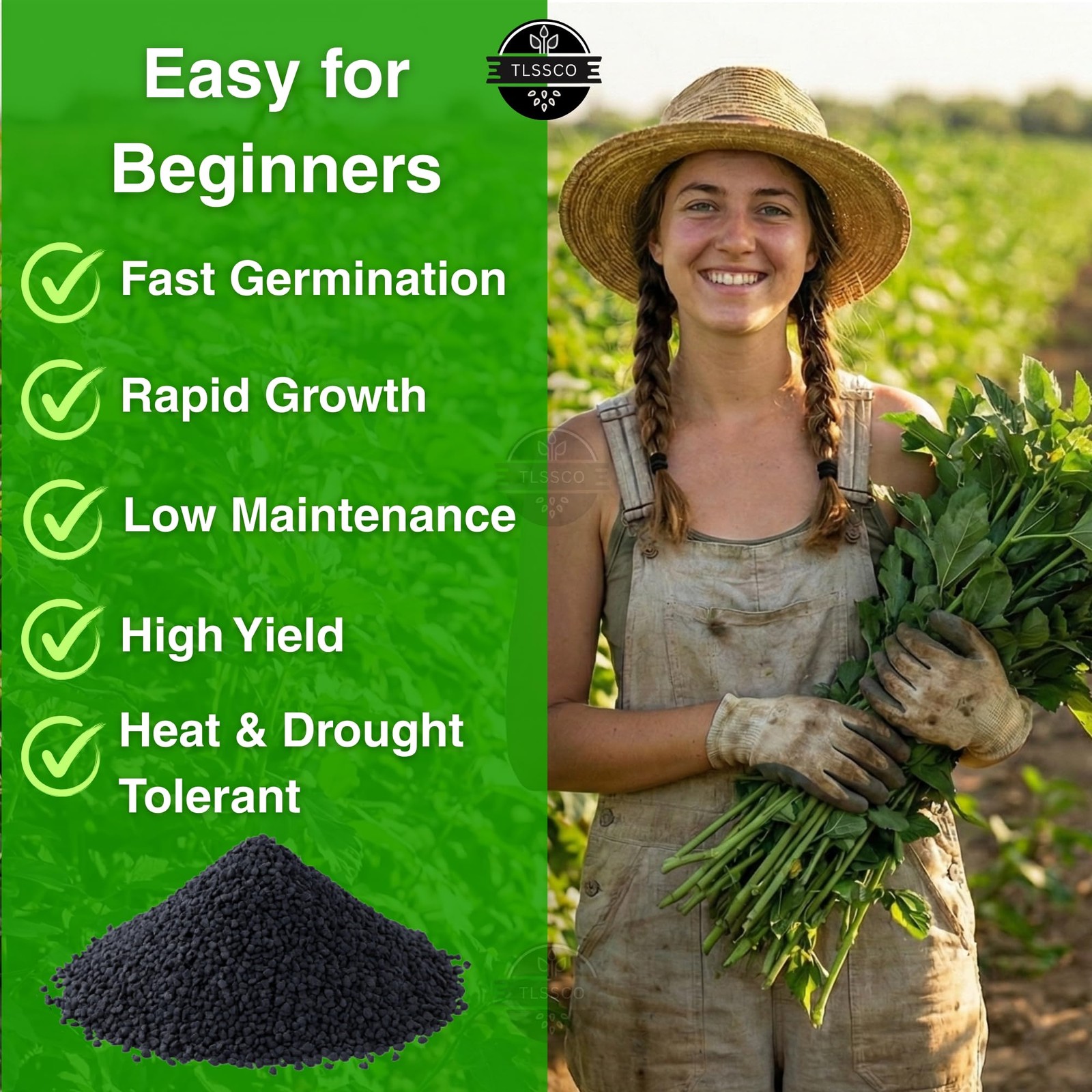 3000+ NonGMO Egyptian Spinach Seeds, FastGrowing, HighYield, Heirloom