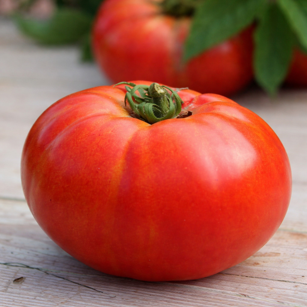200 Seed Cherokee Tomato Seed Mix – Purple Green & Red 3 Amazing Heirlooms