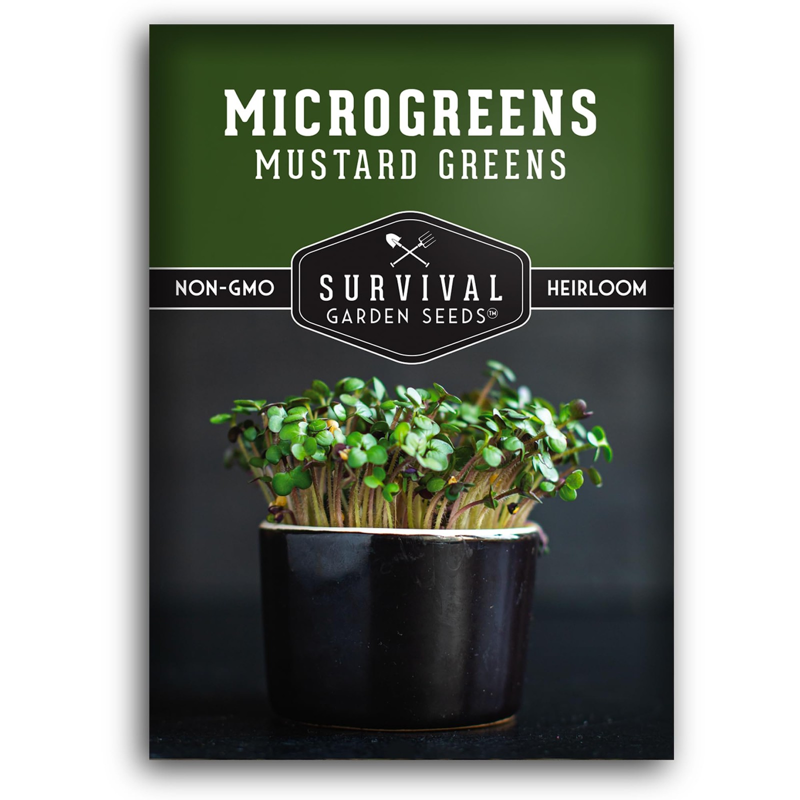 Mustard Microgreen Seeds for Sprouting – Spicy Mustard Greens for Flavorful M…