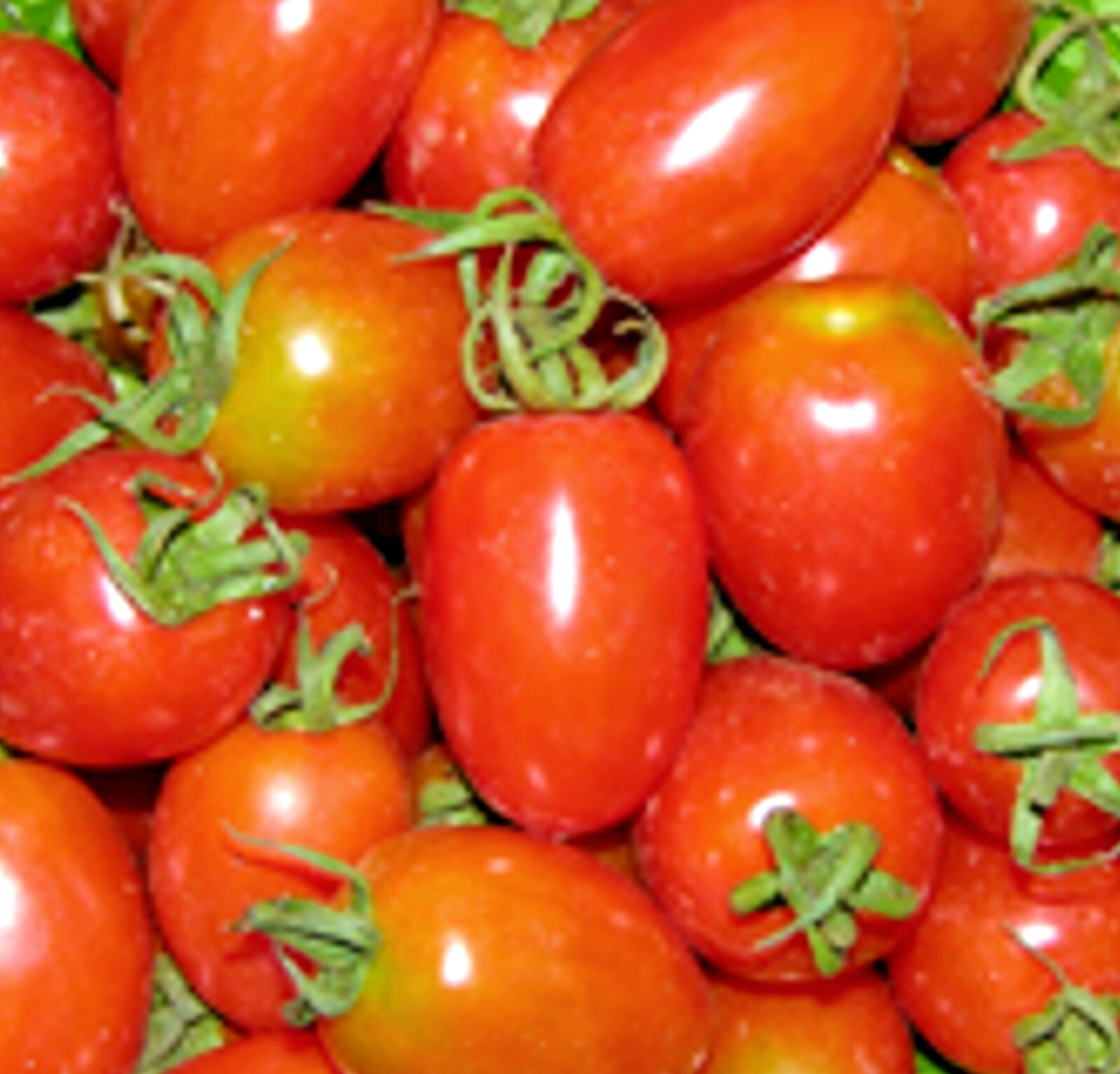 Hawaiian Komohana Grape Tomato 25 Seeds