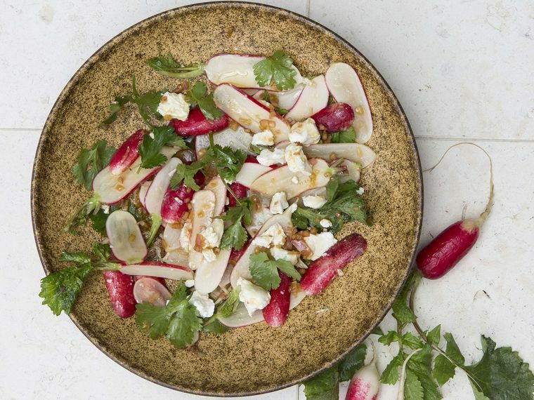 French Breakfast Radish Seeds | Raphanus Red Pink White Long Radishes Seed 2024