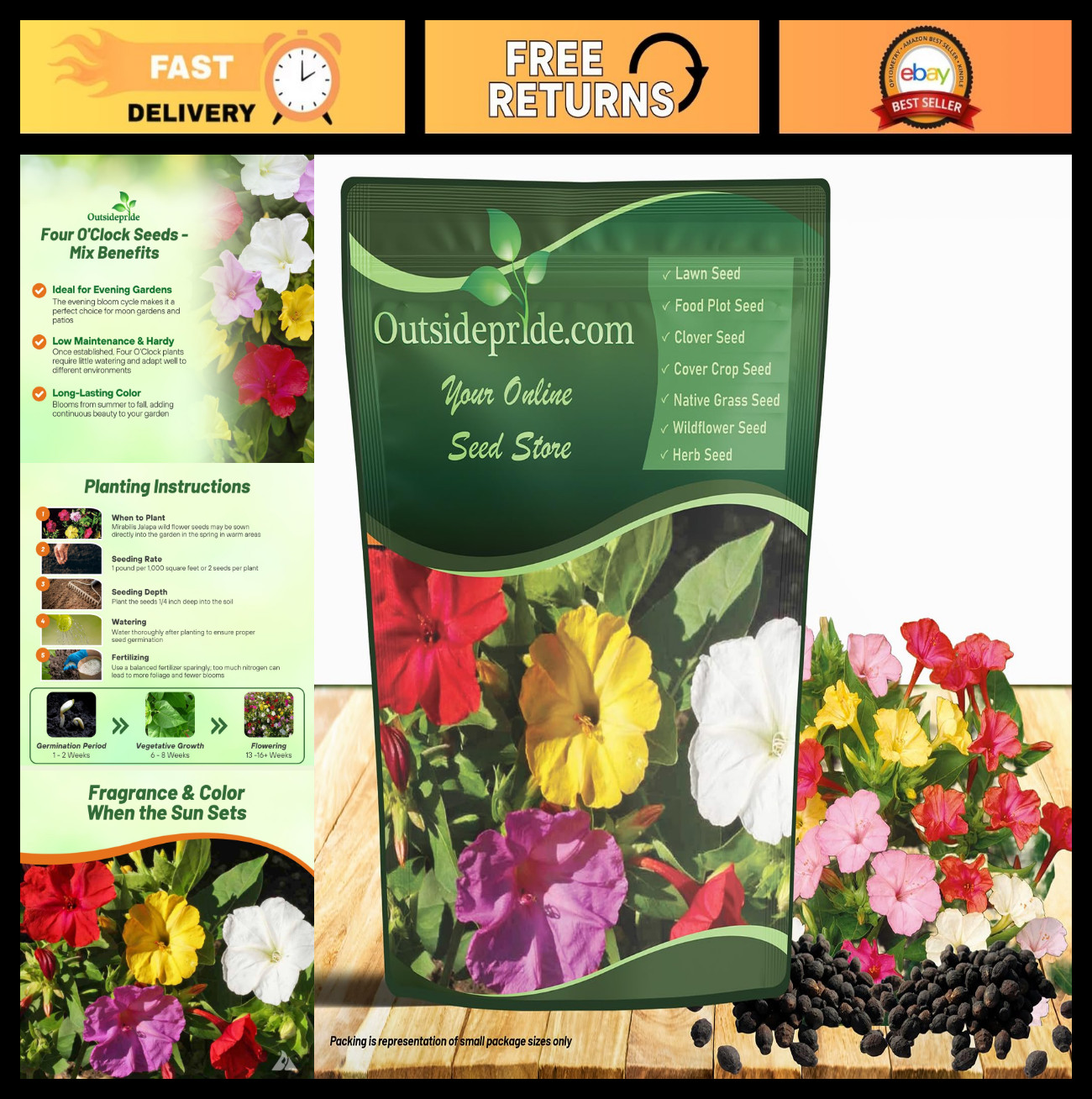 Mixed Four O’clock Flower Seeds – 1 lb Perennial, Fragrant Trumpet Blooms, Easy