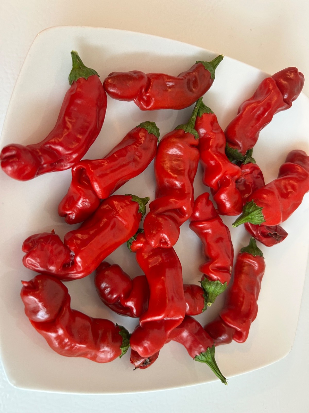 40+ Rare Red Authentic Penis Peter Pepper Seeds. Hot Heirloom Non Gmo