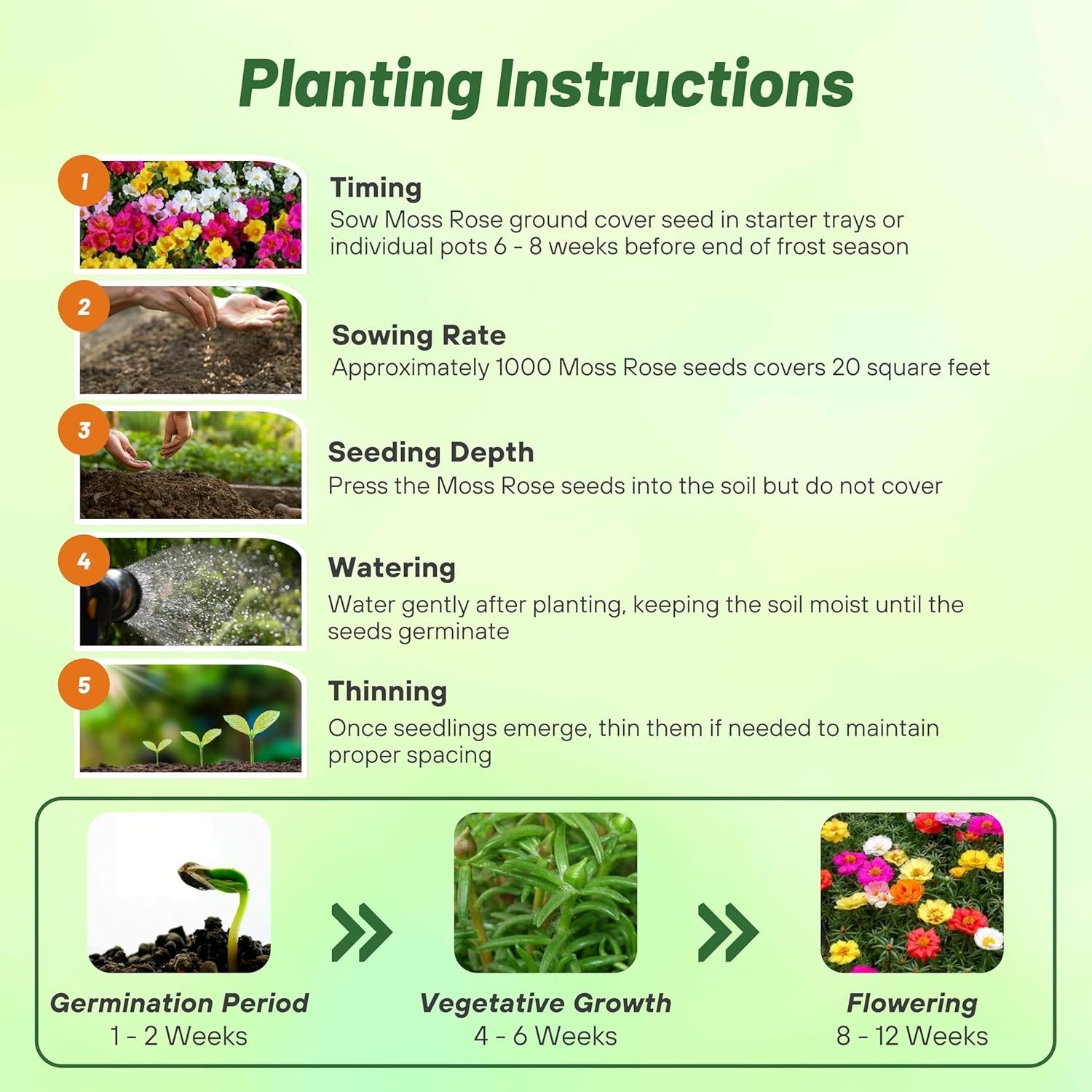 Pollinator Friendly Moss Rose Seeds – 10000 Mixed Seeds for Thriving Gardens