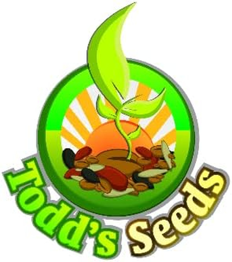 Sprouting Garbanzo Beans, Non-GMO, , High Germination (1/4 Pound)