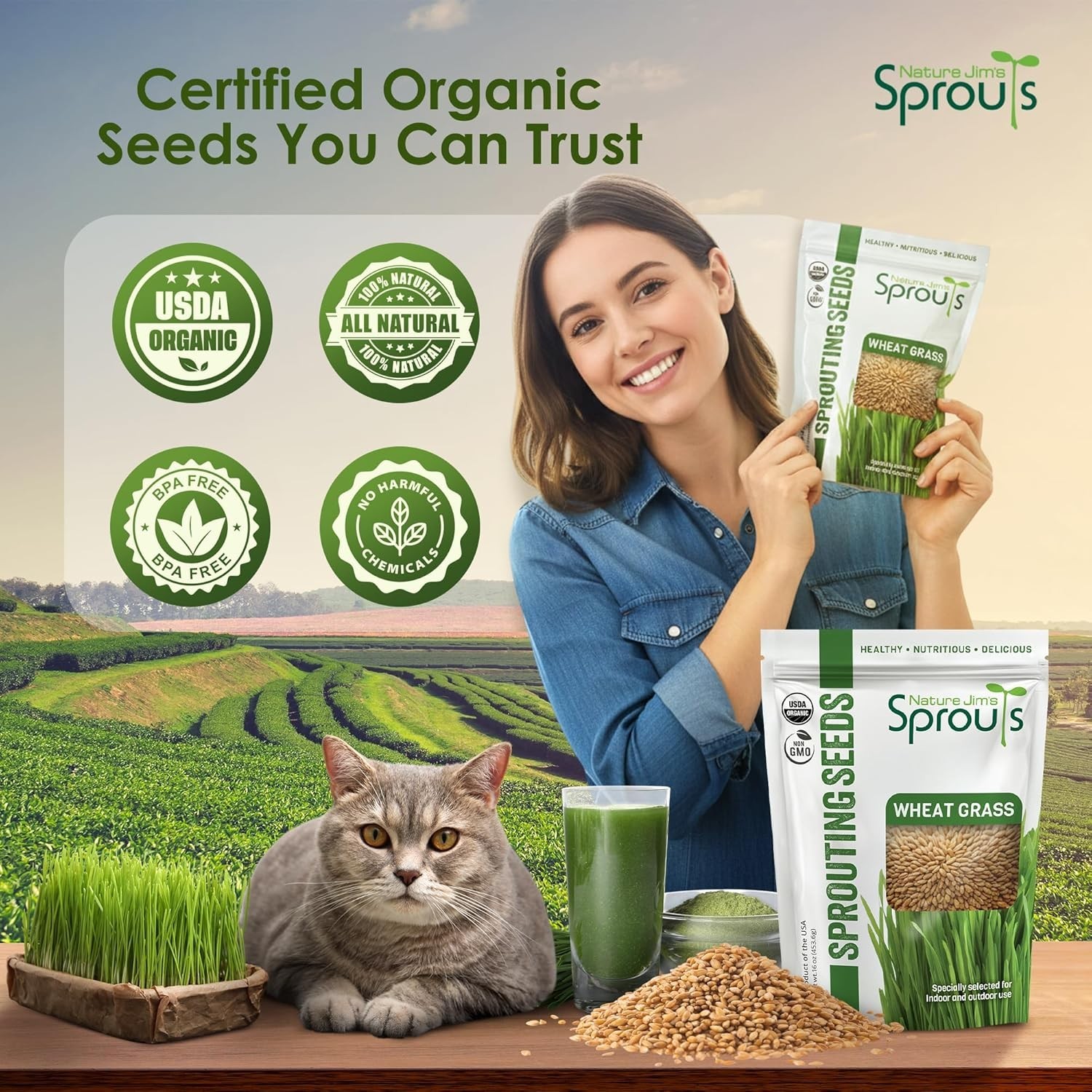 Wheat Grass Seeds – Non-GMO Organic Seeds for Planting, Cat Grass Kit Planter…
