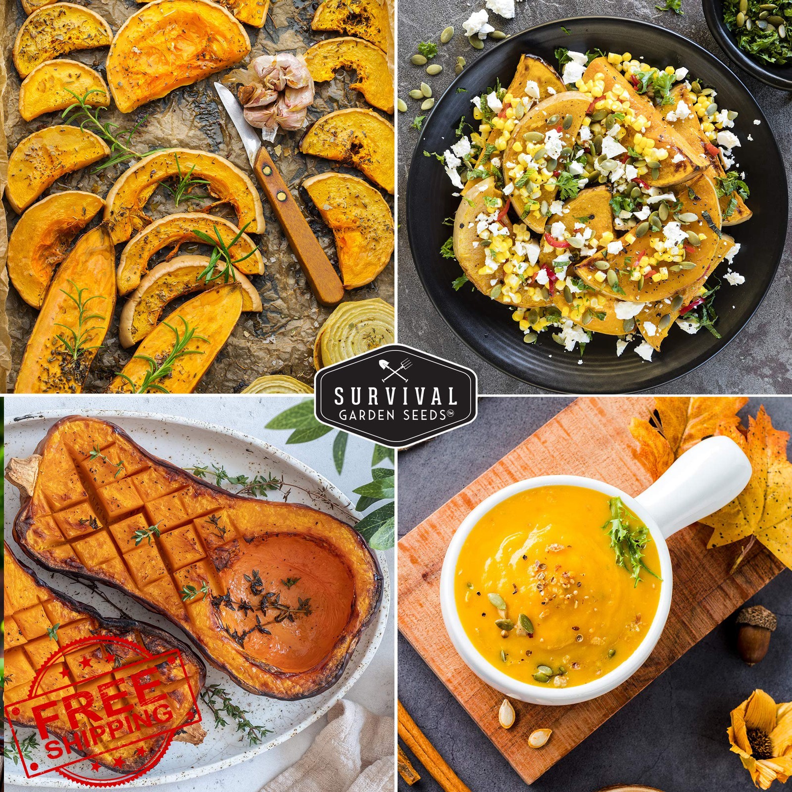 SURVIVAL GARDEN SEEDS 2 pack butternut squash seeds