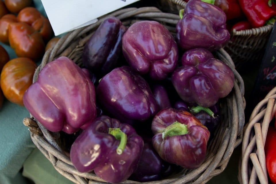 RARE Merlot F1 Sweet Pepper Seeds. Untreated. “10” Seeds Free Shipping!