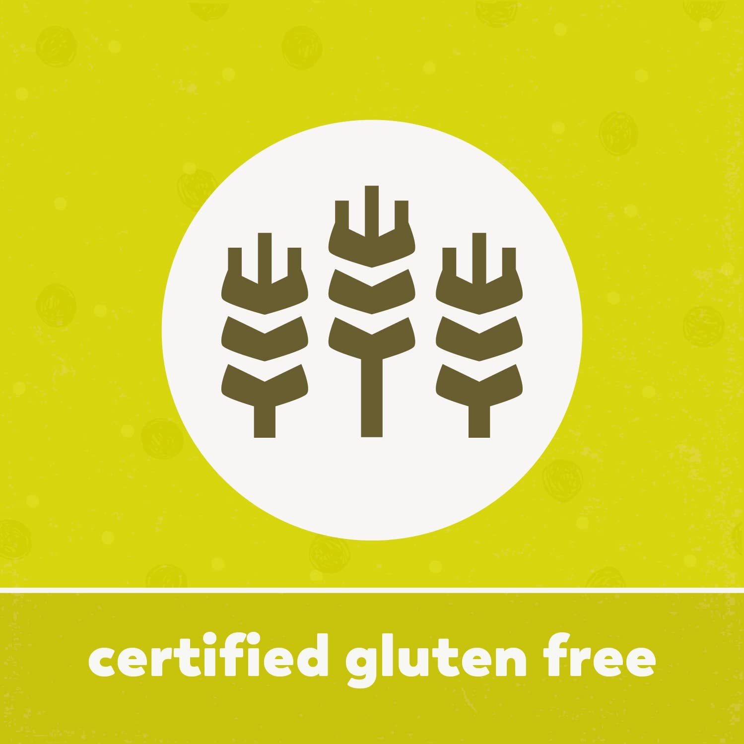 Teff Seeds GMO-Free Gluten-Free Kosher Vegan Raw 2.2 lb (35.2 oz)