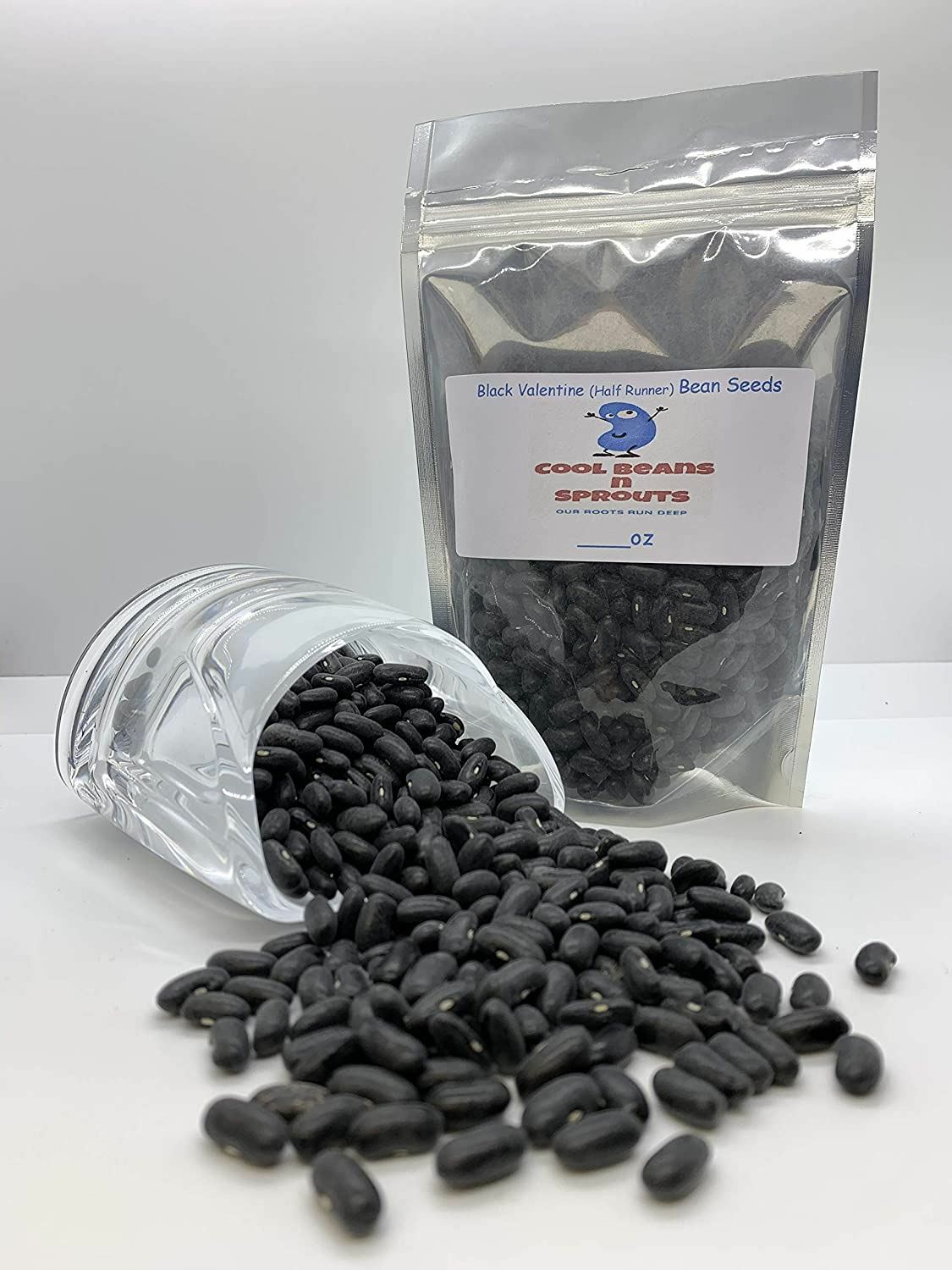 Bean Black Valentine Bush Bean Seeds ,”COOL BEANS n SPROUTS” Brand. Home Garden