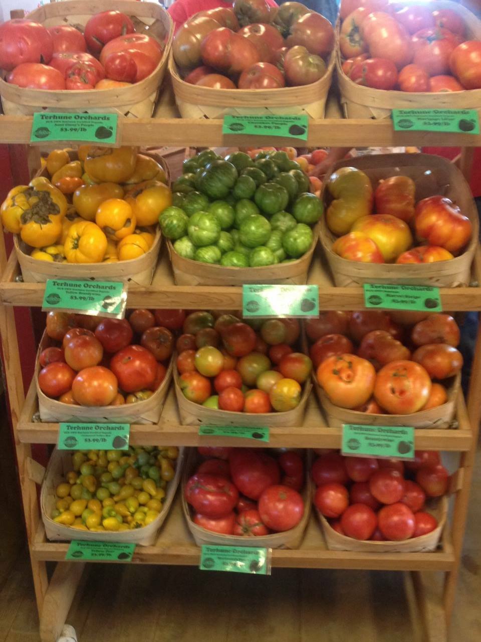 TOMATO Heirloom Mix 40 Seeds ALL TYPES NON-GMO spring summer garden RARE TASTEE!