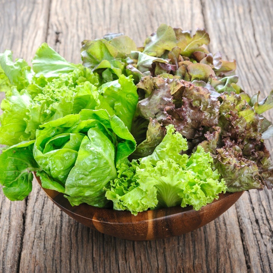 800+ MESCLUN MIX LEAF LETTUCE SEEDS (1 gram) FRESH US SELLER FRESH