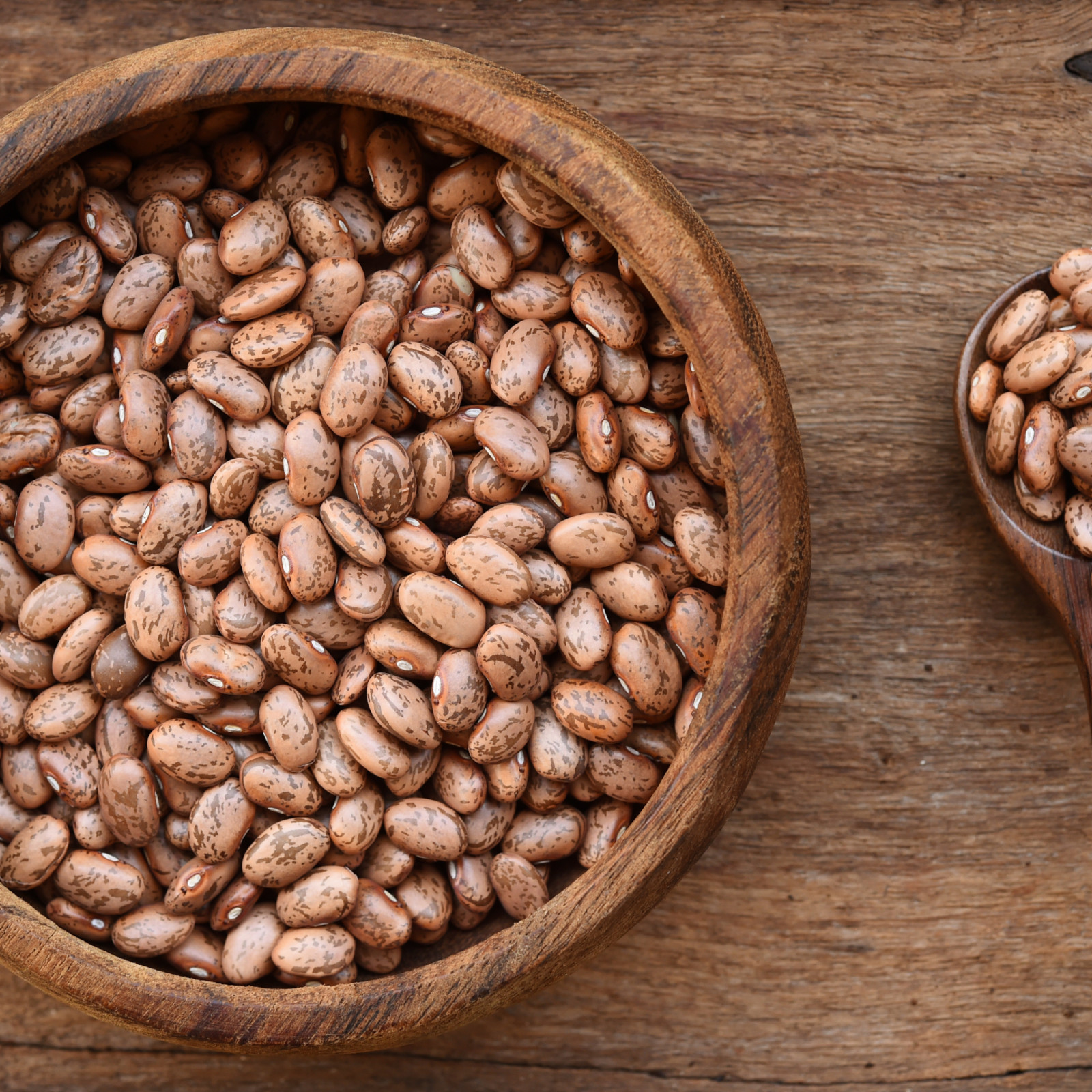 Pinto Bean Seeds | Non-GMO Heirloom Bush Pole Bean Seeds | Fresh Garden Seeds