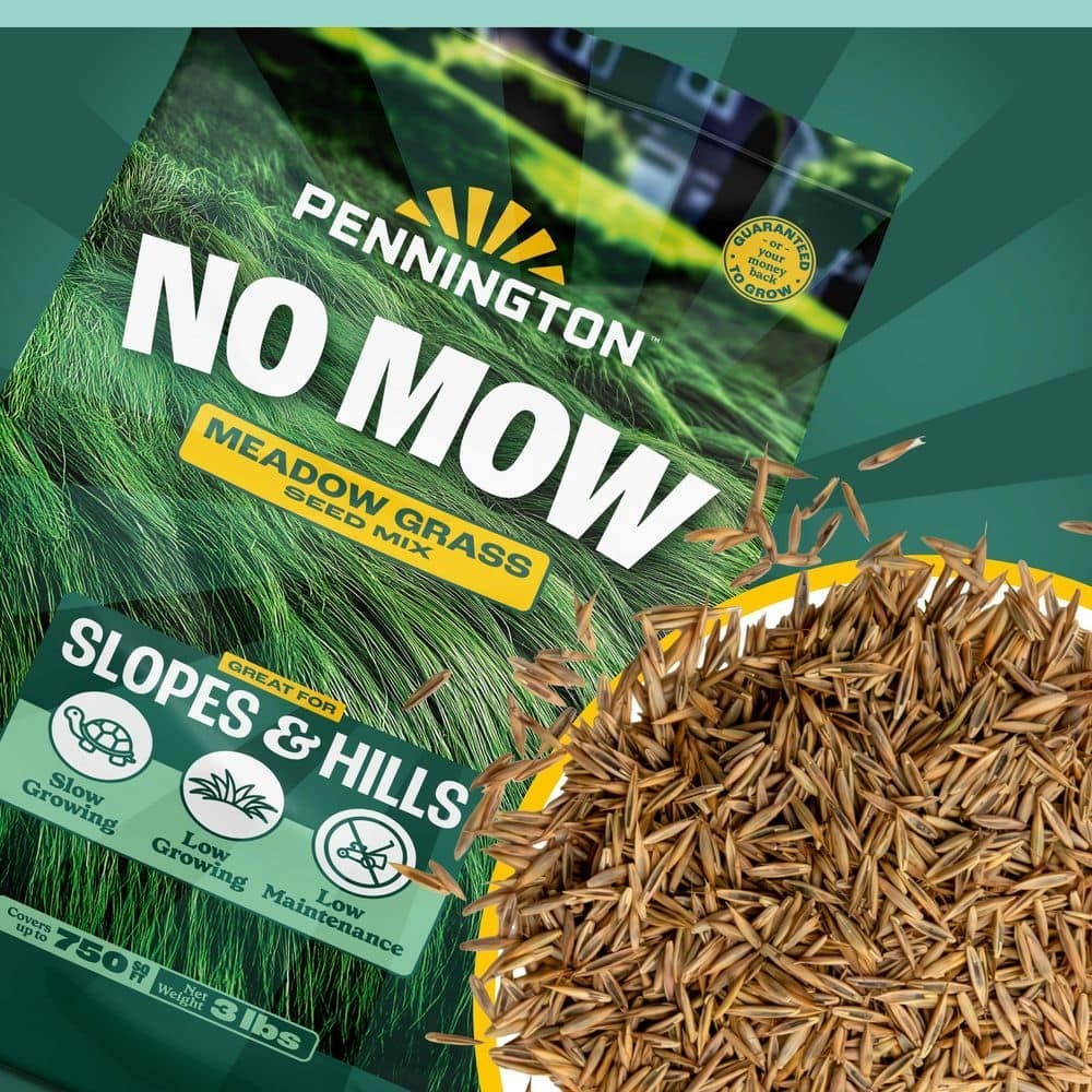 3 lbs. 750 sq. ft. No Mow Grass Seed Mix