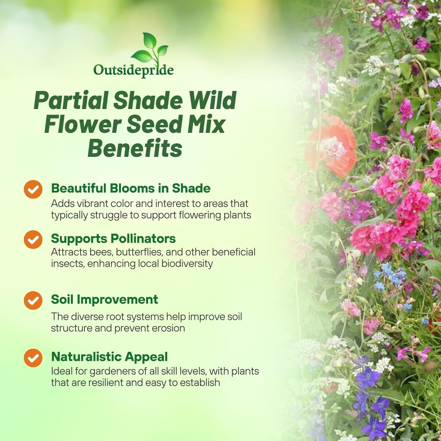 Diverse 1 lb Wildflower Seed Mixture for Partial Shade – Blooms Spring to Fall