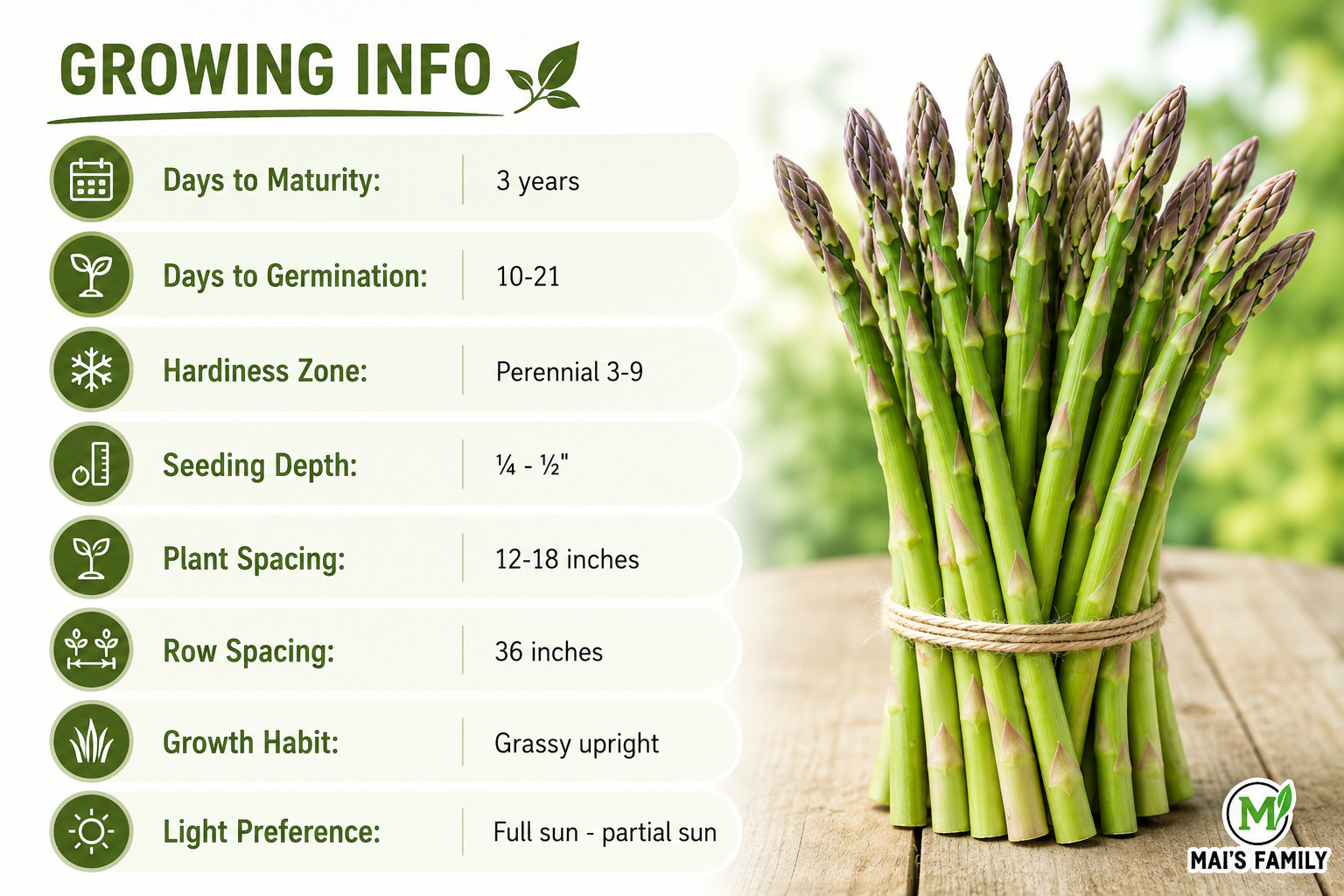 Mary Washington Asparagus Seeds | NON-GMO | Heirloom | Fresh Garden Seeds