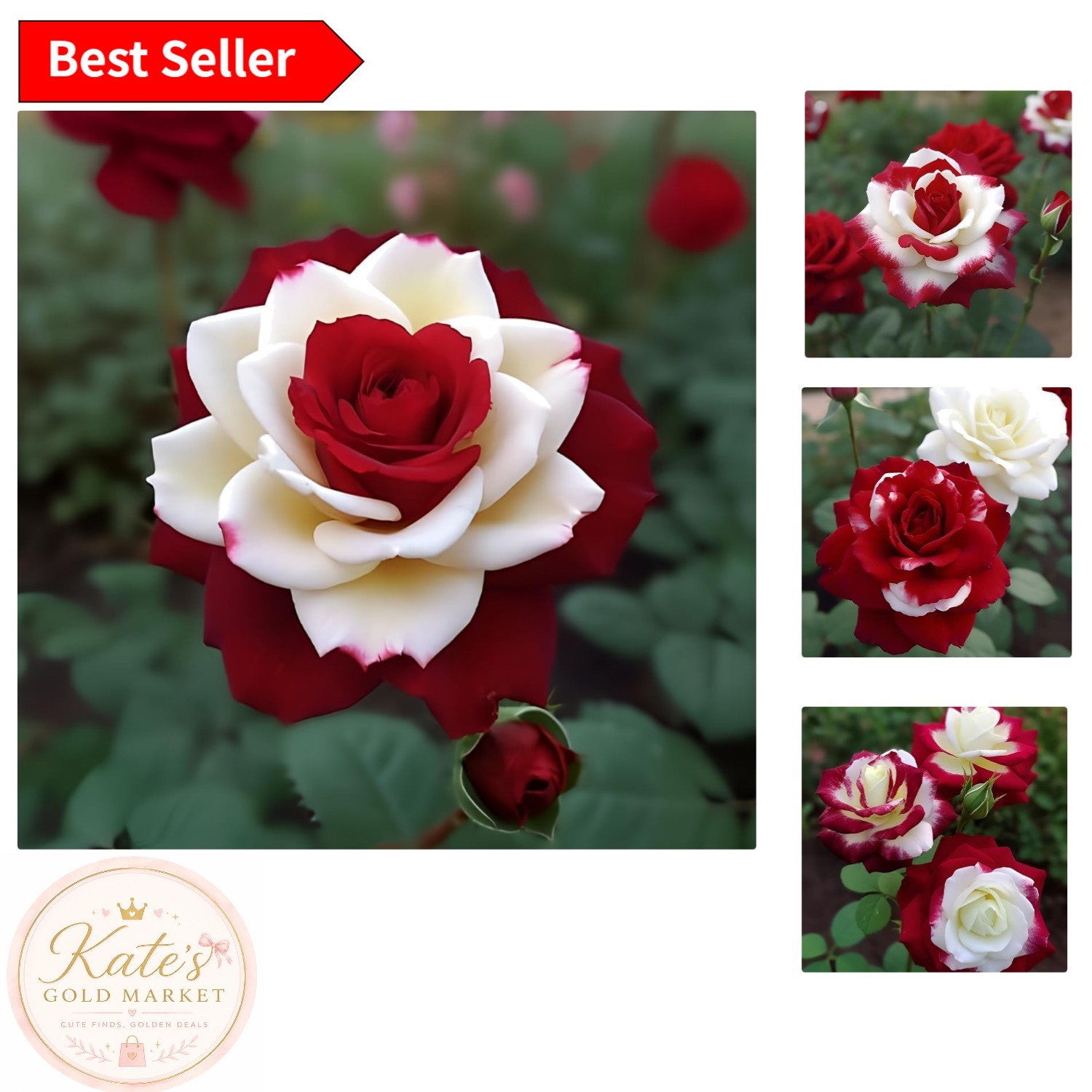 Indoor/Outdoor 20 Count Twin Red & White Rose Seeds – For Flourishing Landscapes