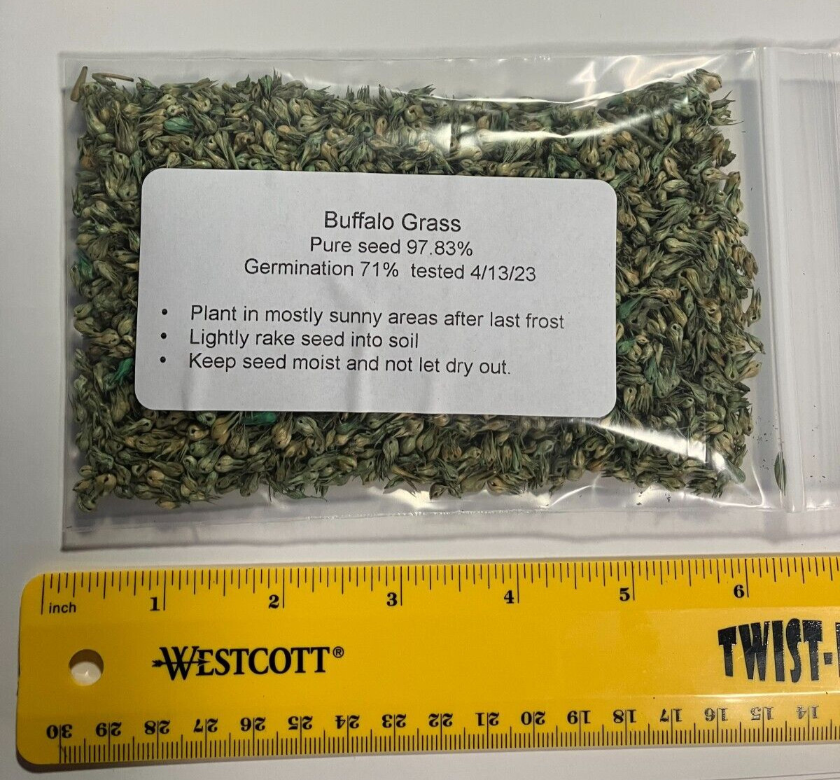 1 oz BUFFALO GRASS Seed Native Prairie Sedge Low Maintenance Drought Heat Turf