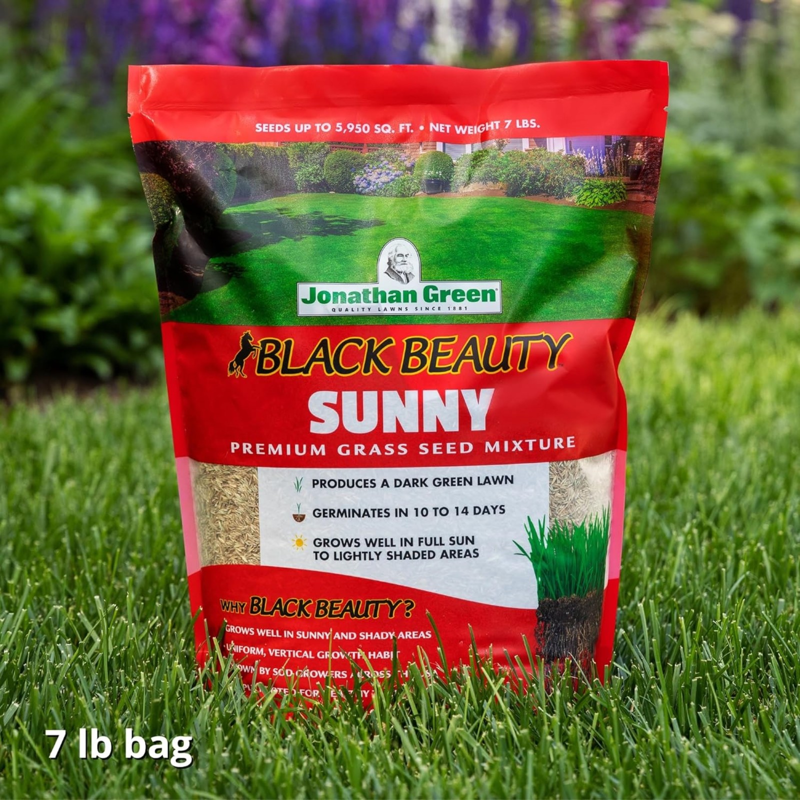 Jonathan Green Black Beauty Sunny Premium Grass Seed Mixture, 7lb bag, 2 Pack