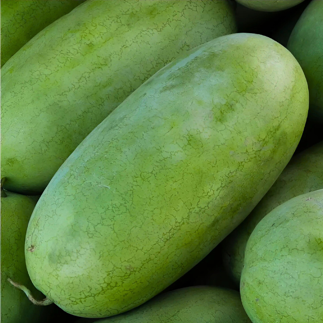 Fresh Charleston Grey Watermelon Seeds | Heirloom Non-GMO | Fresh Fruit Seeds