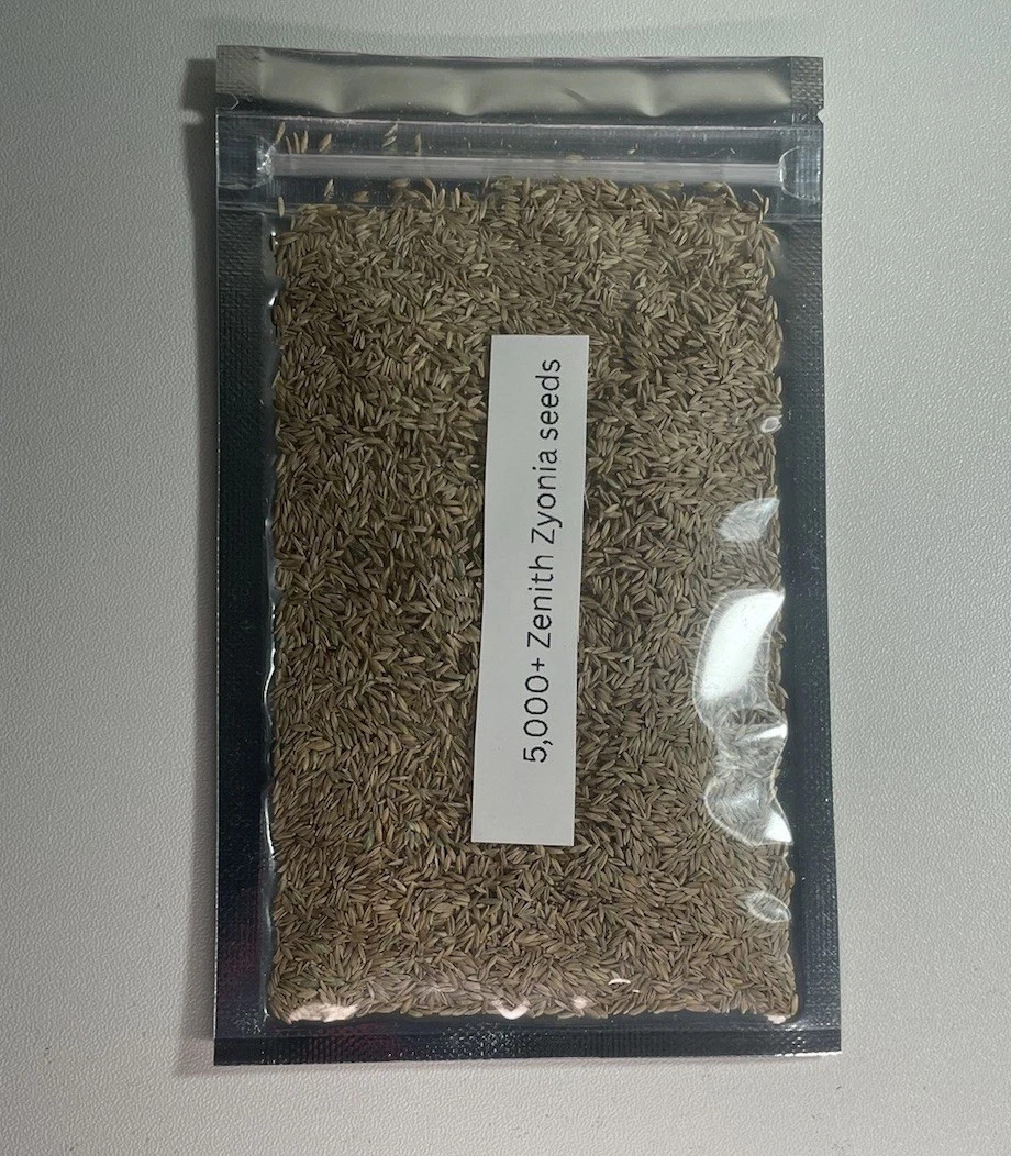 Zenith Zoysia Grass Seed Starter Kit – Over 5,000 Seeds for a Lush, Thriving Law