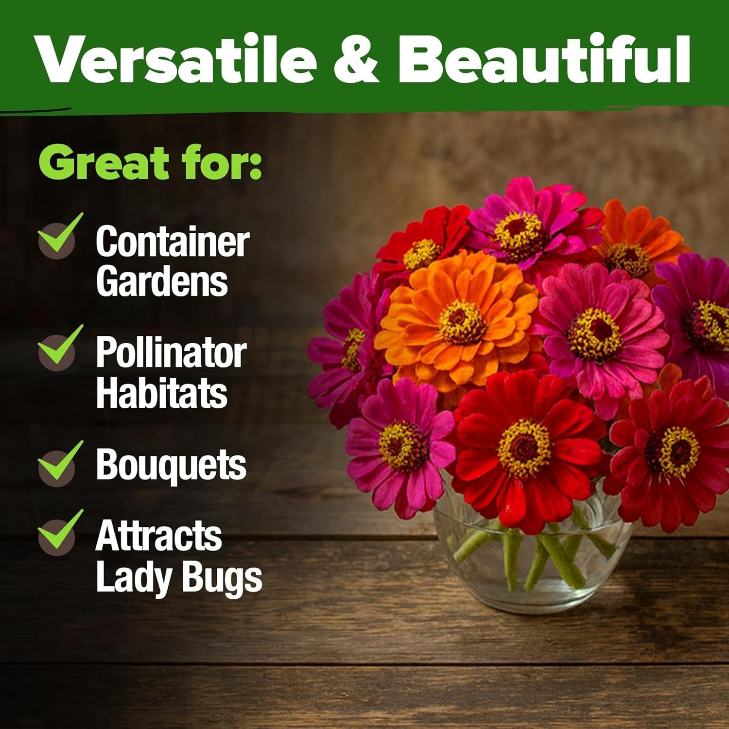 Vibrant Zinnia Dahlia Seeds (524 Count) | Effortless Blooms for Any Gardener
