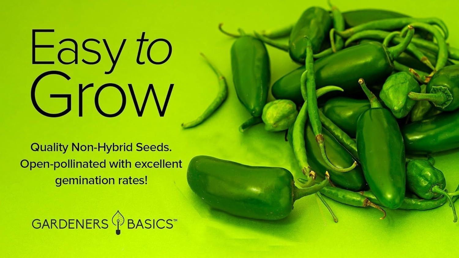 Jalapeno Pepper Seeds | Heirloom, Non-GMO, USA Farmed for Spicy Gardens