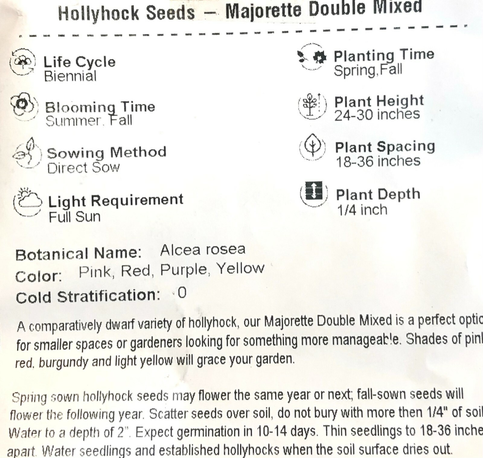 Hollyhock MAJORETTE DOUBLE MIX Dwarf Biennial Pollinators USA Non-GMO 50 Seeds!