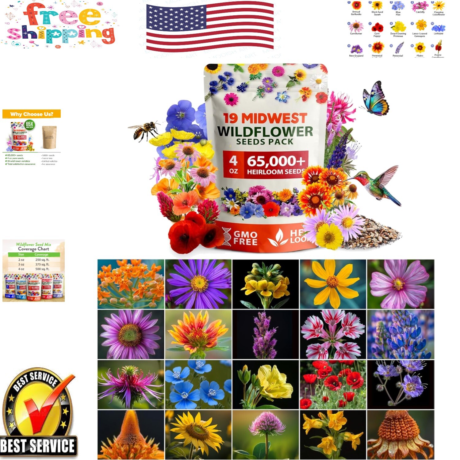 Non-GMO Midwest Wildflower Seeds – Easy Growth for Spring to Summer Gardens