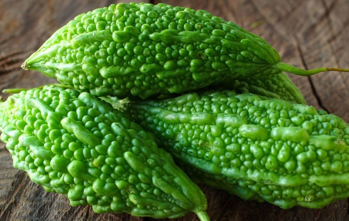 50 SEEDS ORGANIC BITTER MELON/BITTER GUARD