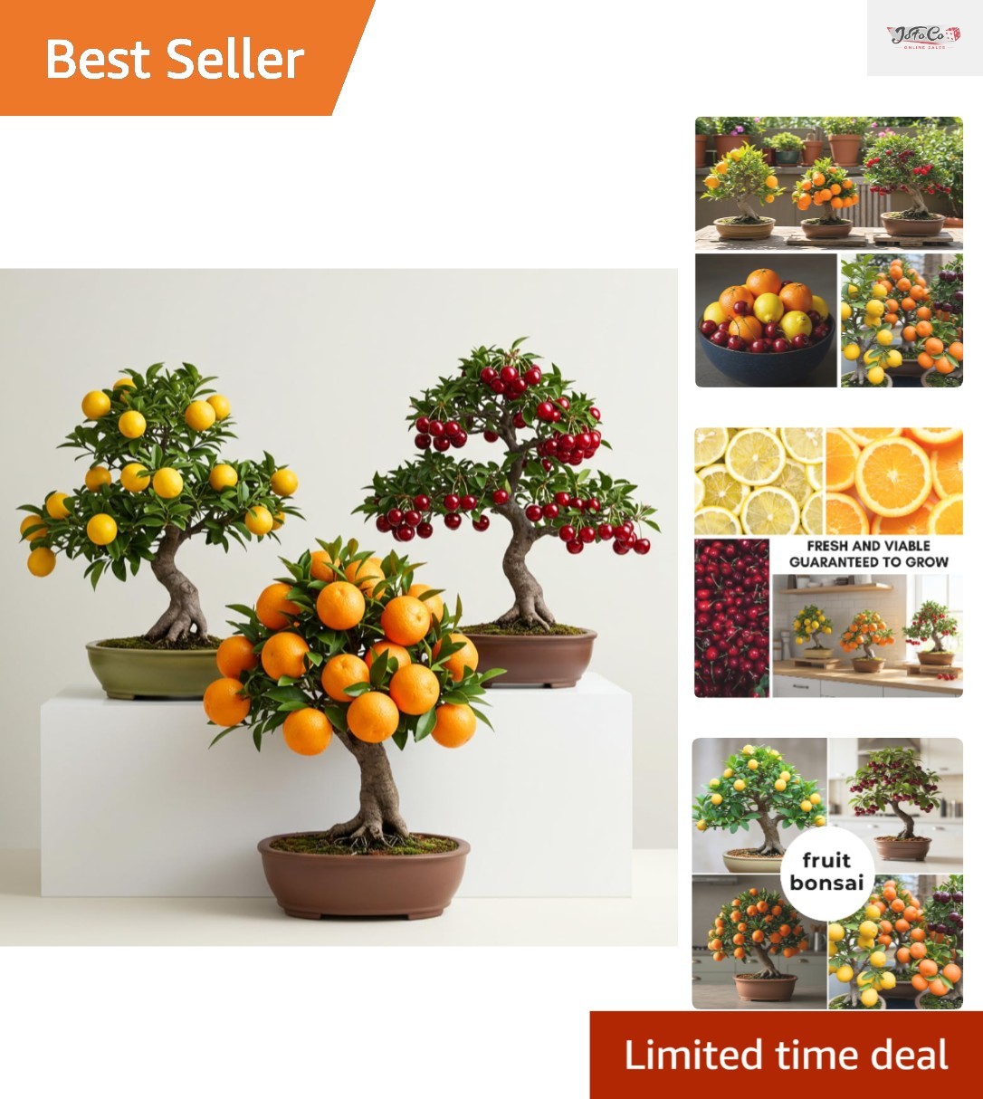 Grow Your Own Fresh Fruits: 150+ Dwarf Bonsai Tree Seeds (Lemon, Cherry, Orange)