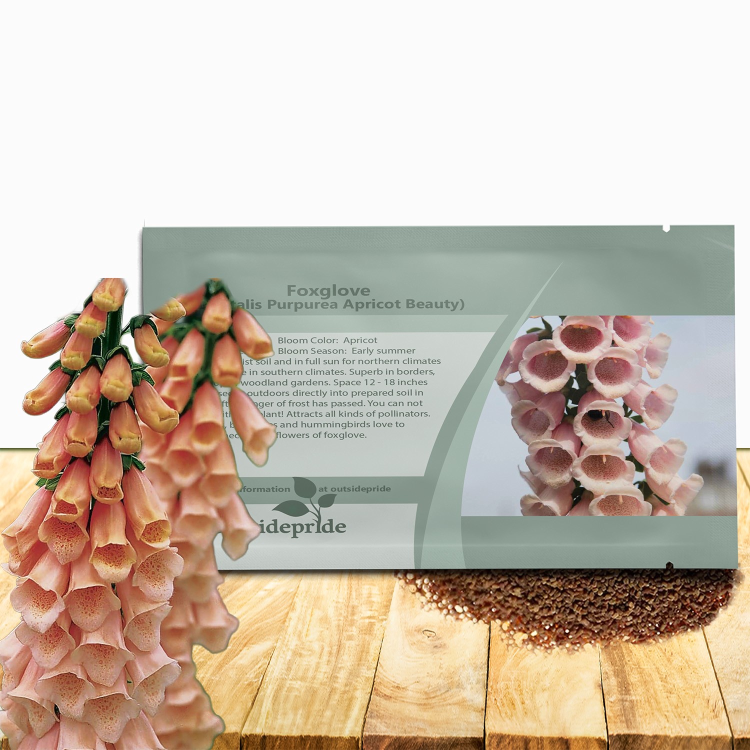 5000 Seeds Foxglove Seeds – Digitalis Purpurea Apricot Beauty Flower Seed