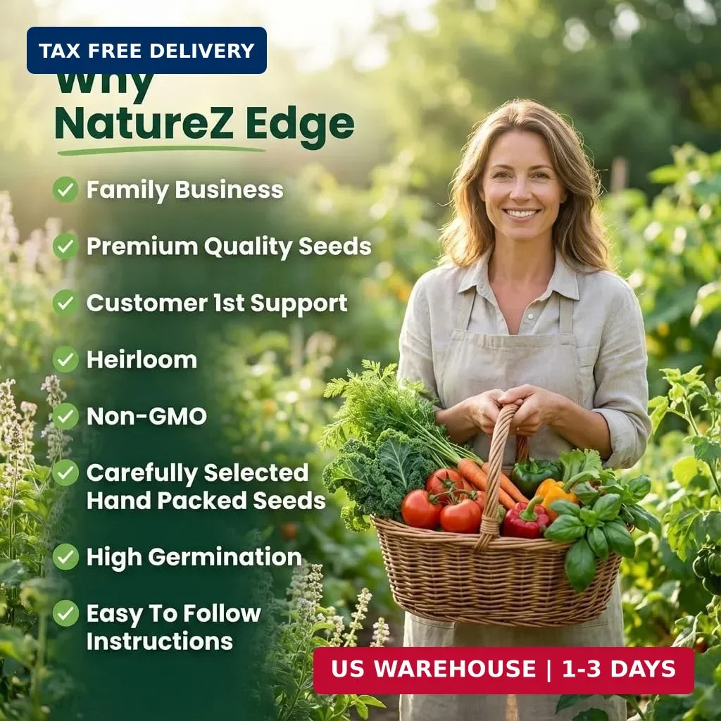 5 Herb Seeds Variety Kit, Oregano, Cilantro, Parsley, Basil, Chives
