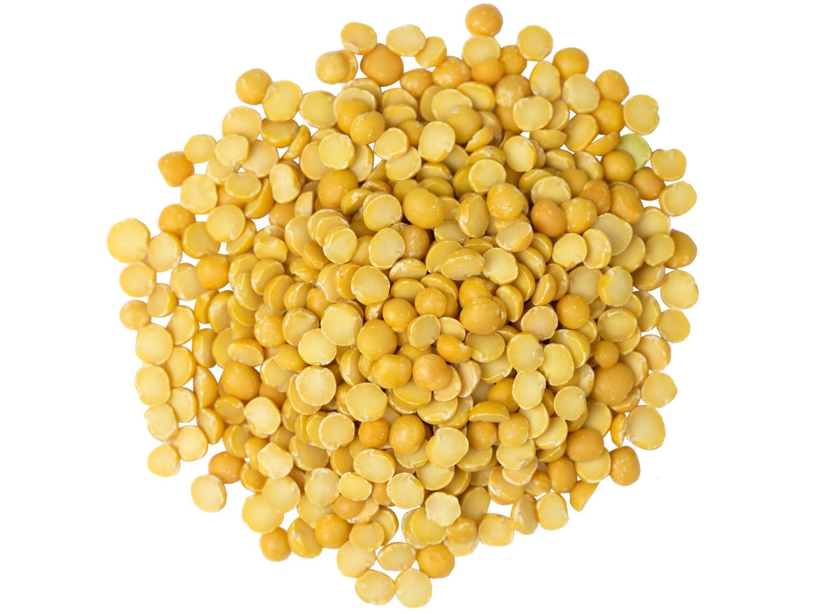 Yellow Pea Seeds (30) / Bush Bean / Rare / cool weather
