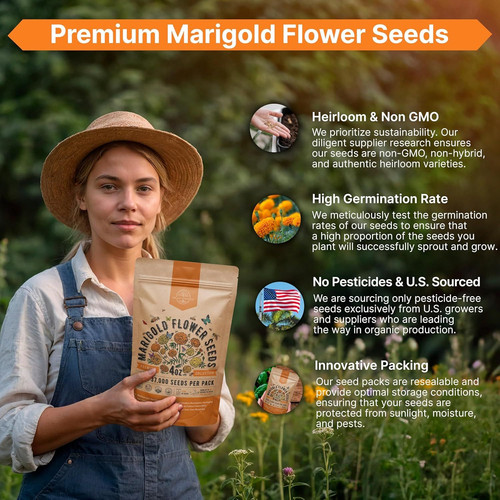 Marigold Seeds Pack 4 oz – Over 37,000 4oz, Orange, Yellow, Red, Green