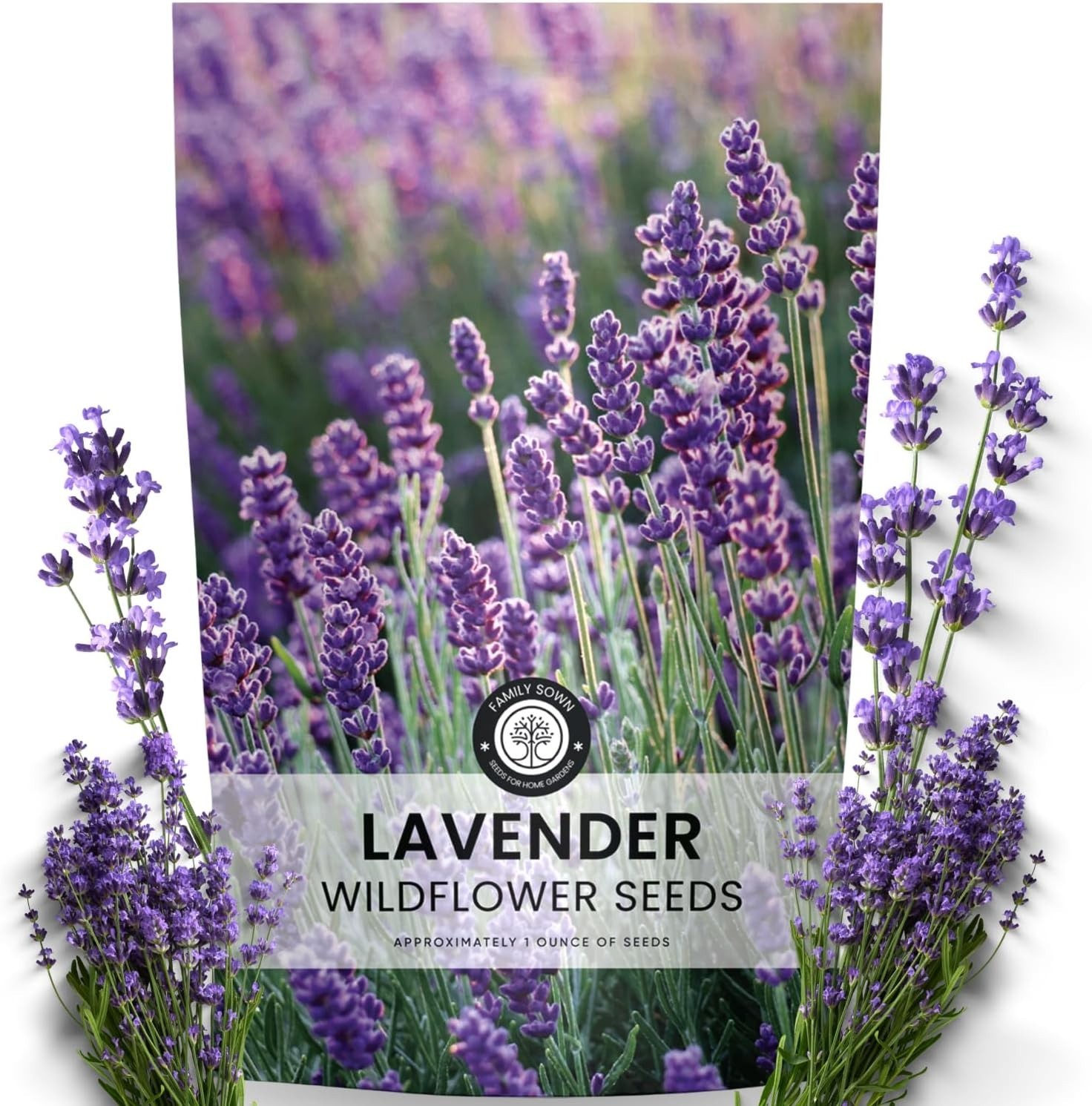 1 Ounce Lavender Seeds 28000 Seeds Perfect for Cottage and Pollinator Gardens
