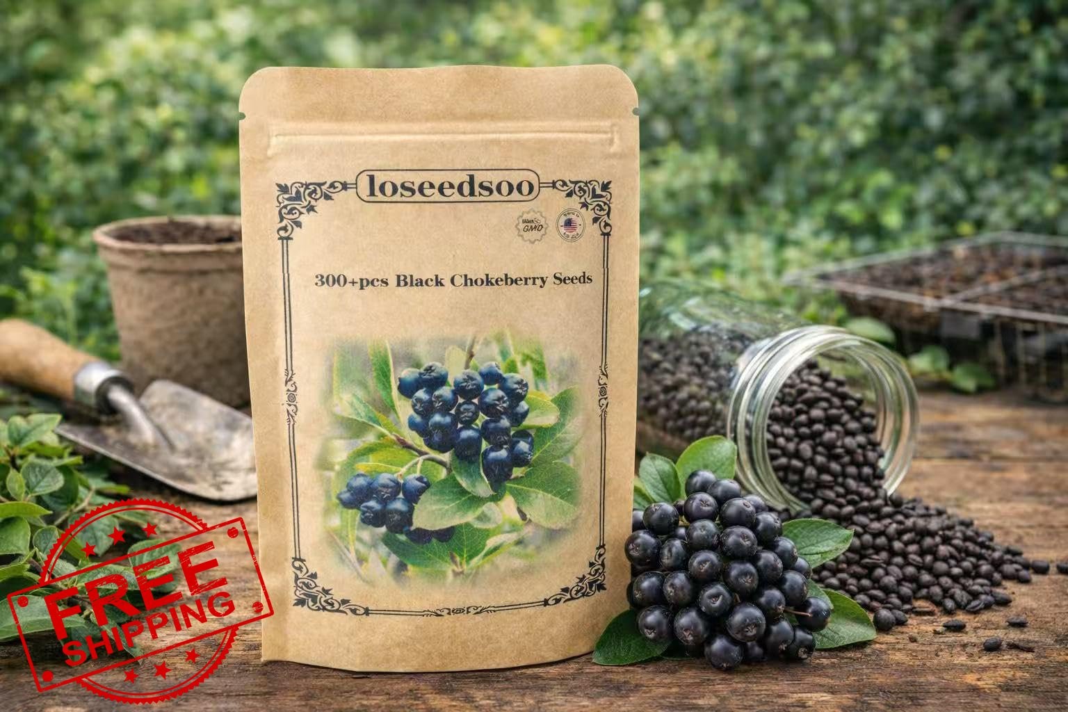 Aronia Melanocarpa Black Chokeberry Seeds 300+ for Planting Non-GMO Heirloom …