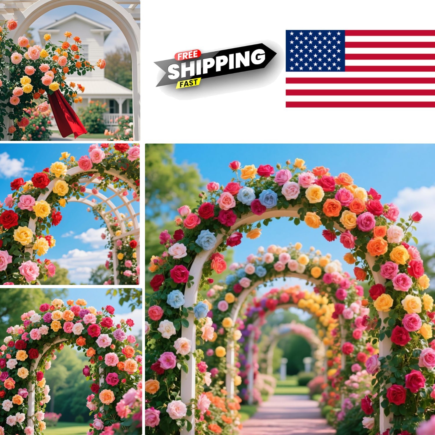 Assorted Color Climbing Rose Seeds 600 Plus for Spring Summer Fall Blooms