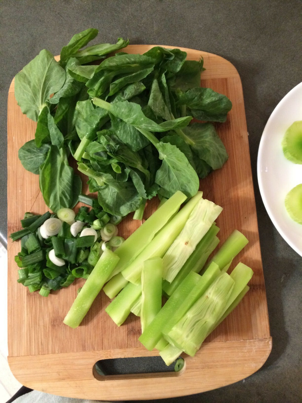 Celtuce Seeds | Summer 38 Chinese Stem Lettuce 莴笋 油麦菜 Asian Vegetable Seed 2024