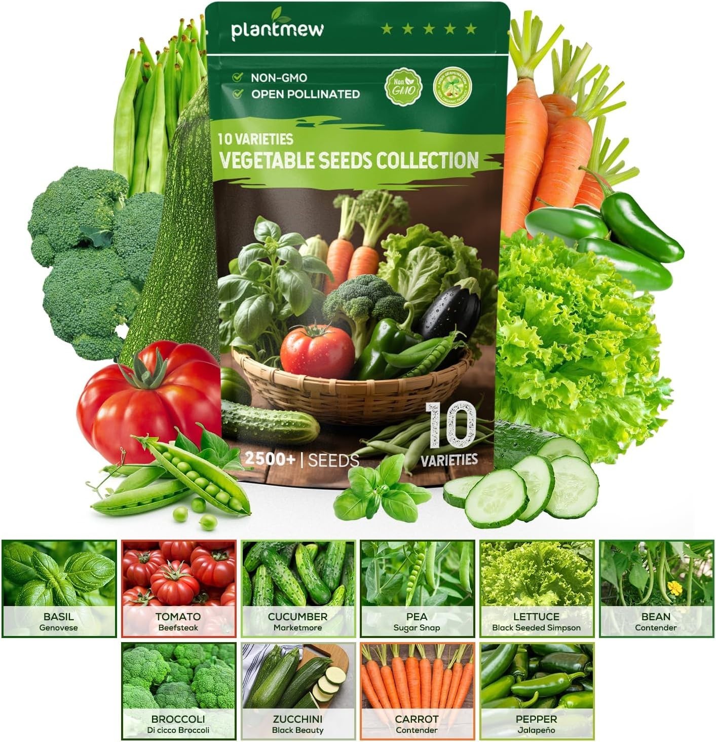 【Seed Vault】 Heirloom Vegetable Seeds Planting Kit – 2500+ Non-Gmo Seeds for