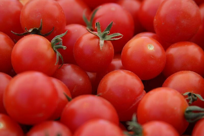 SCARBOROUGH SEEDS Large Red Cherry Tomato 100 Seeds -Non-GMO – SAME DAY SHIPPING