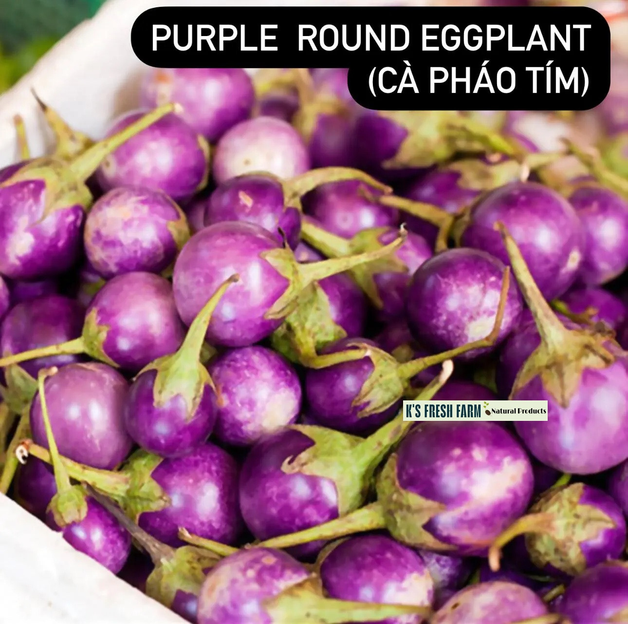 Eggplant Seeds(White+Purple Round/Long Purple/Green Thai) Cà Pháo/ Cà tím/Cà dĩa