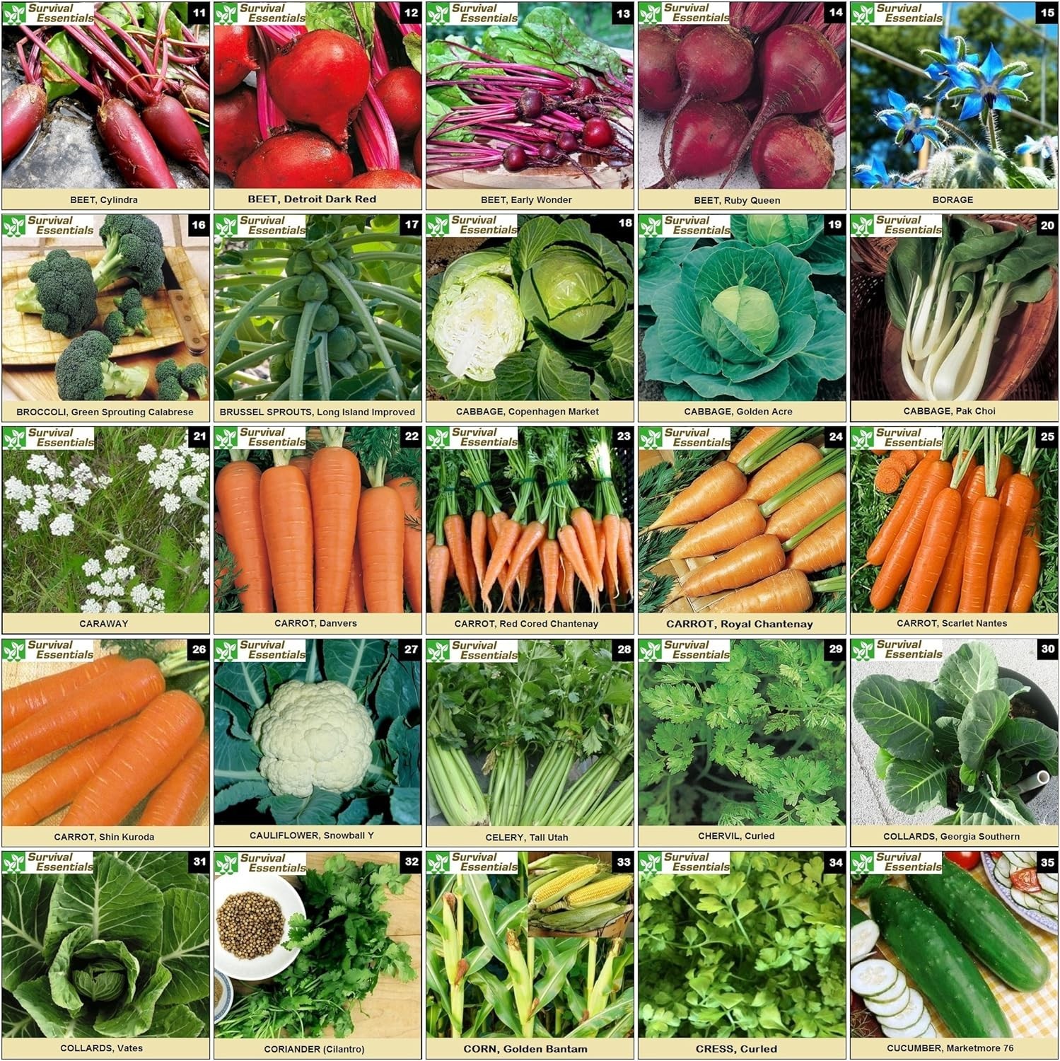 Heirloom Seeds: 135 Variety Vault, Non-GMO, USDA Zones 1-11, Organic Vegetabl…