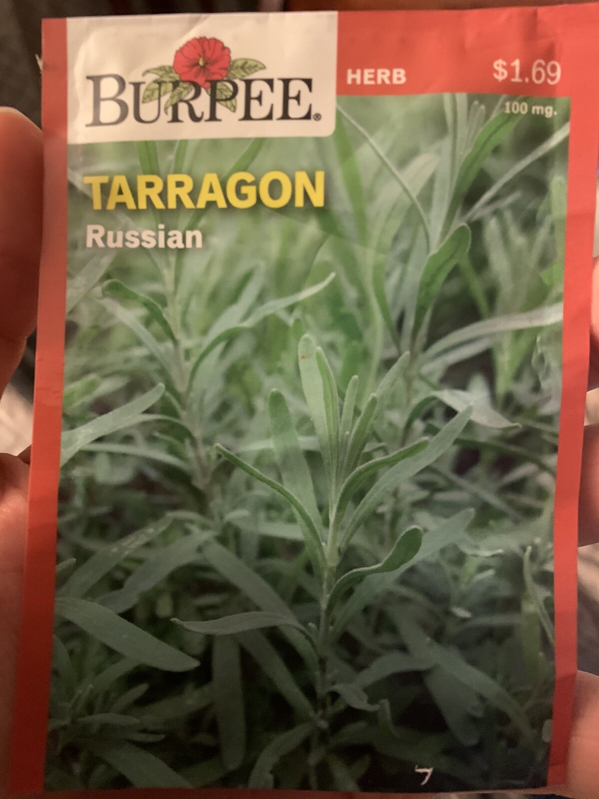 Burpee Tarragon Russian Herb Seeds Full Sun Aromatic Outdoors Seed Packet