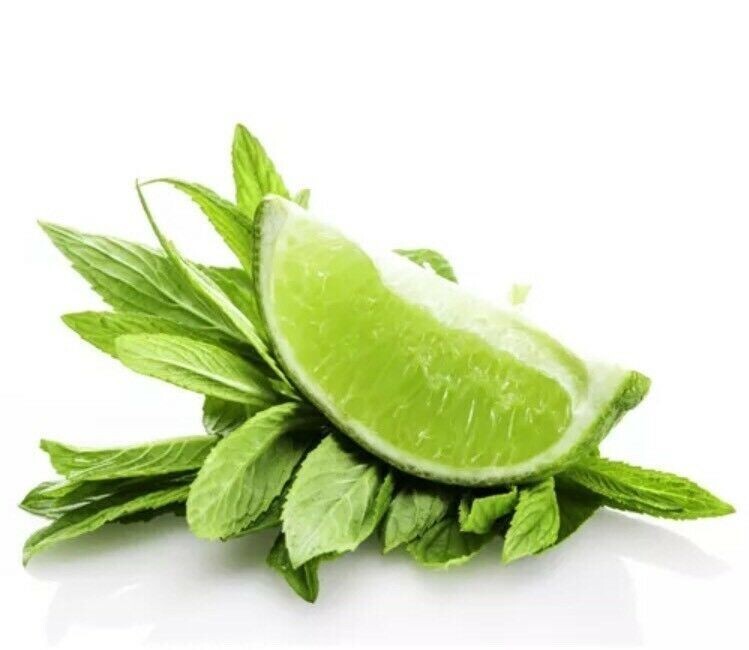 Peppermint Seeds 50 Seeds Mentha Piperita Hybrid MINT Aromatic Herb Plants