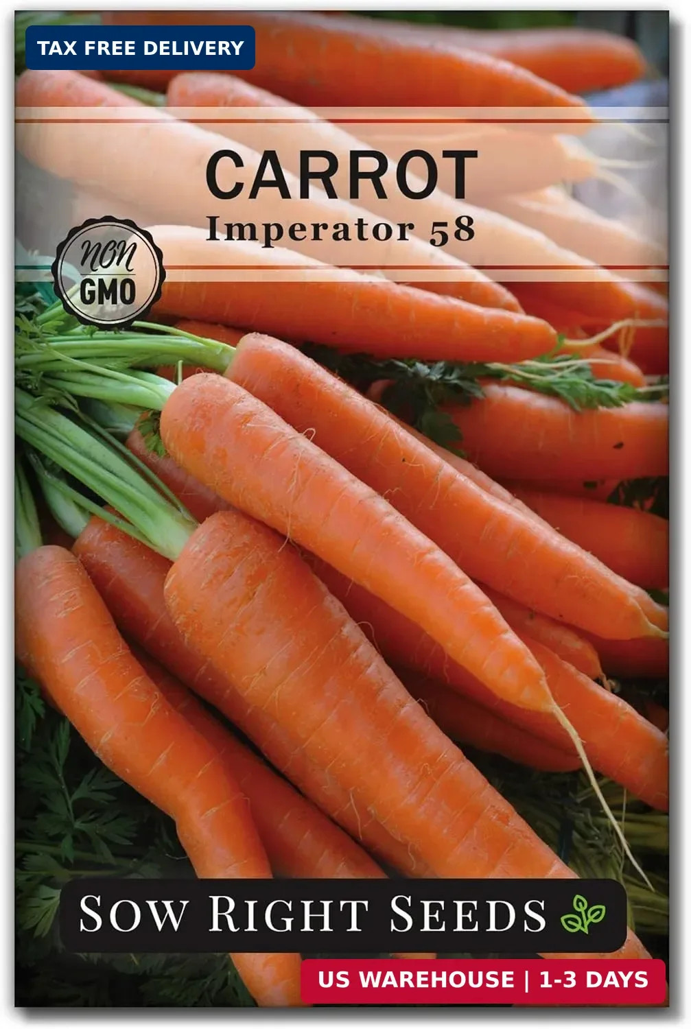Sow Right Seeds – Carrot Seed Collection for Planting – Rainbow, Nantes, Imperat